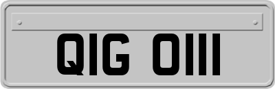 QIG0111
