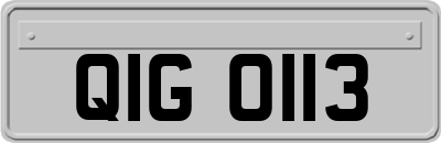 QIG0113