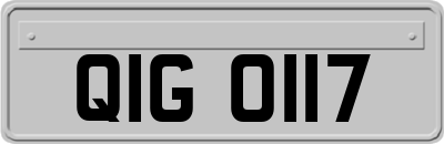 QIG0117