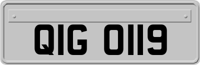QIG0119