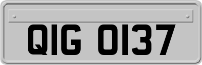 QIG0137