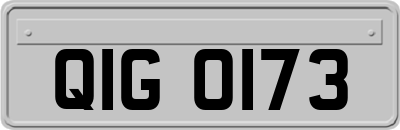 QIG0173