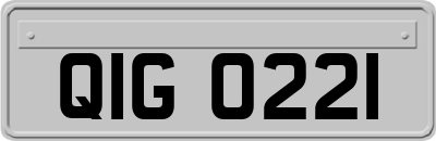 QIG0221