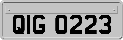 QIG0223