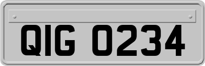 QIG0234
