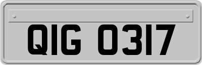 QIG0317