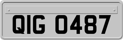 QIG0487