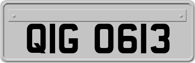 QIG0613