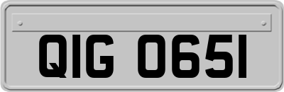QIG0651