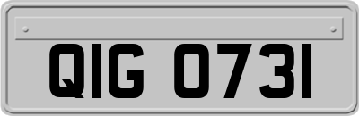 QIG0731