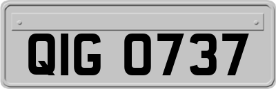 QIG0737