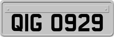 QIG0929