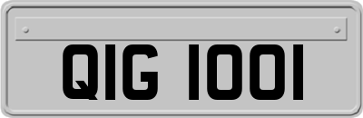 QIG1001
