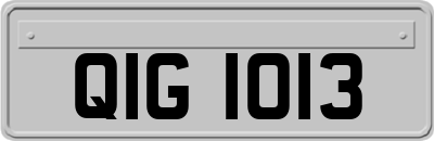 QIG1013