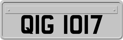 QIG1017