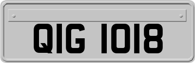 QIG1018