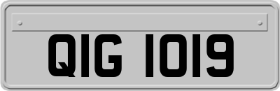 QIG1019