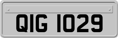 QIG1029