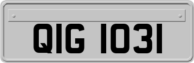 QIG1031
