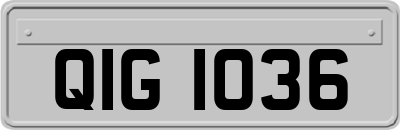 QIG1036