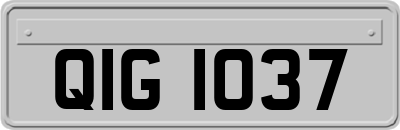 QIG1037