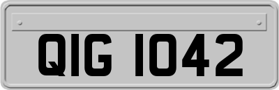 QIG1042