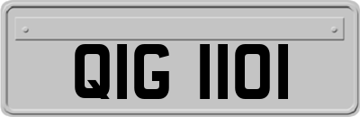 QIG1101