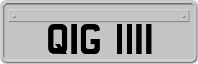 QIG1111