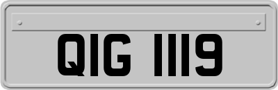 QIG1119