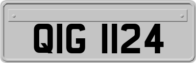 QIG1124