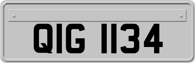 QIG1134