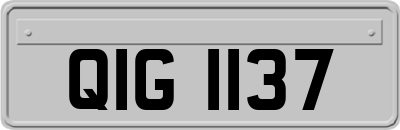 QIG1137