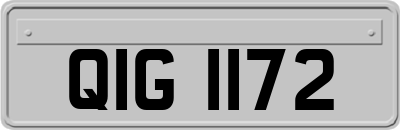 QIG1172