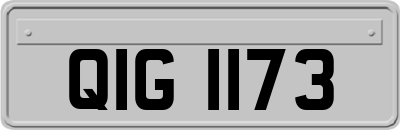 QIG1173