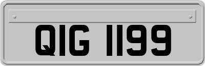 QIG1199