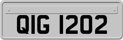 QIG1202