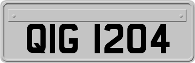 QIG1204