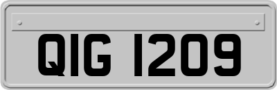 QIG1209