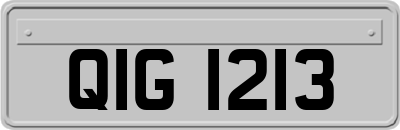 QIG1213