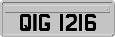 QIG1216