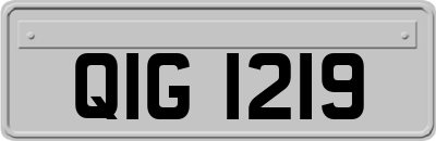 QIG1219
