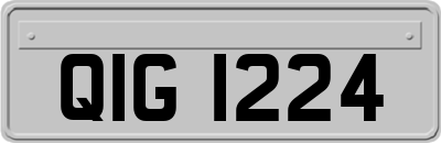 QIG1224