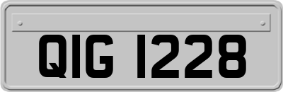 QIG1228