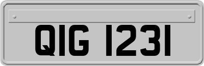 QIG1231