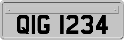 QIG1234