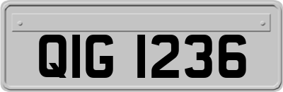 QIG1236