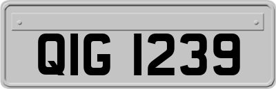 QIG1239