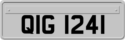 QIG1241