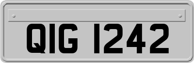 QIG1242
