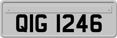 QIG1246